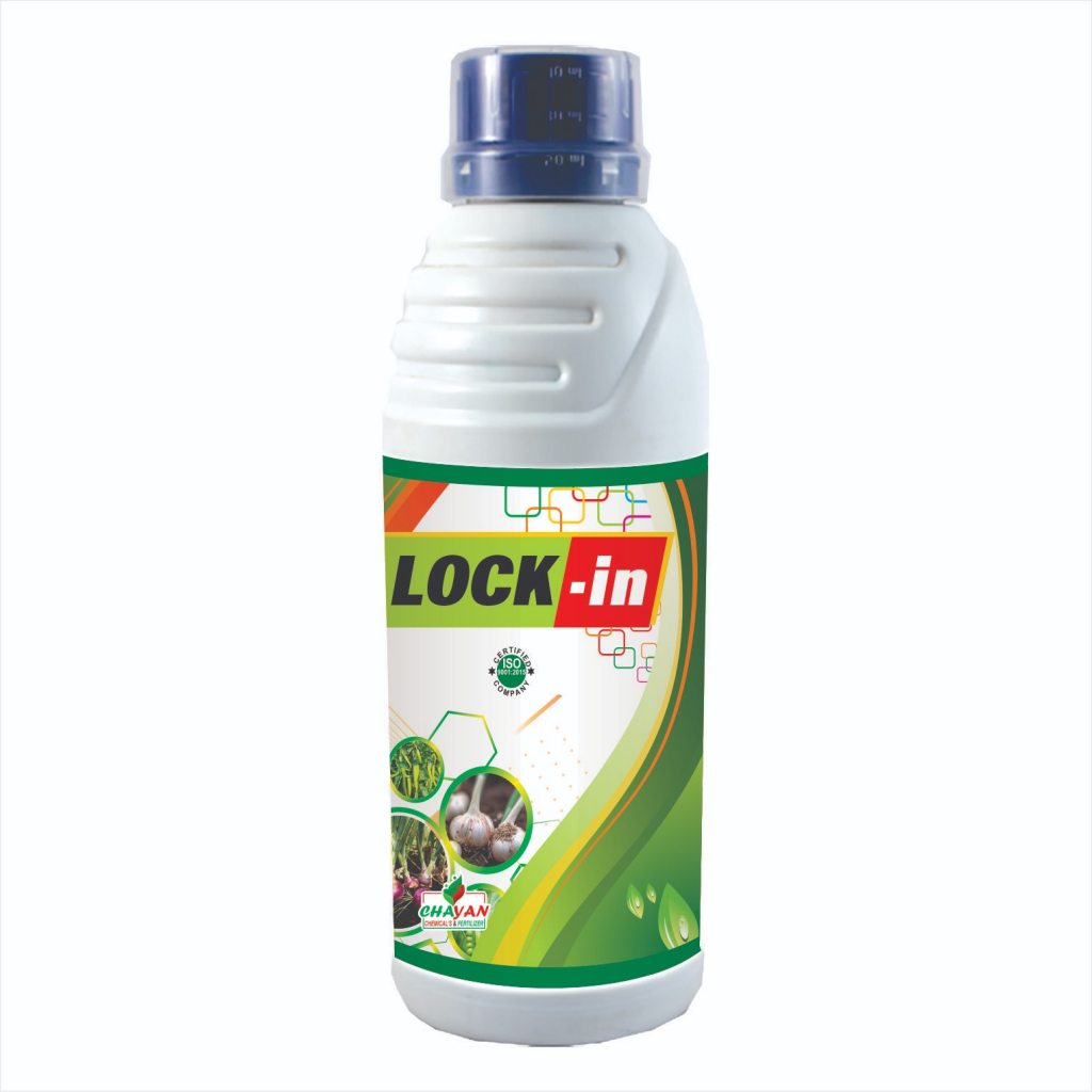 LOCK- IN